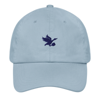 Light blue cap with a dark blue Tisdell logo on a white background